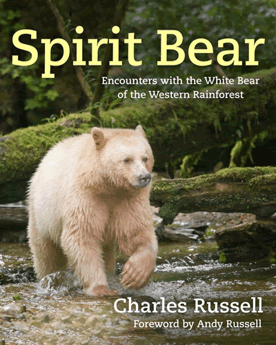 Spirit Bear, reissued cover